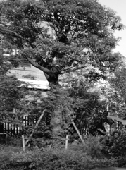 虞山注册公司